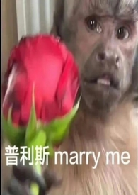 中午吃了牛排晚上吃什么容易消化
